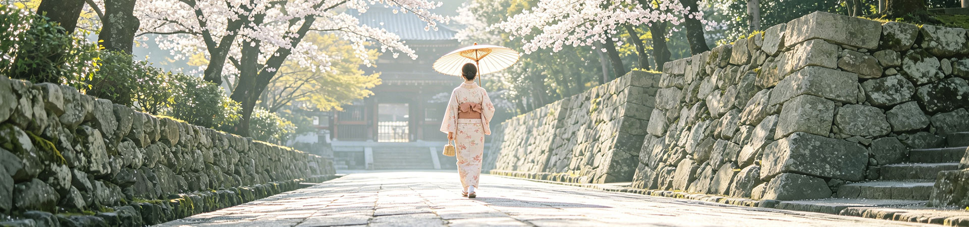 Cherry blossoms framing an authentic Japan cultural travel experience