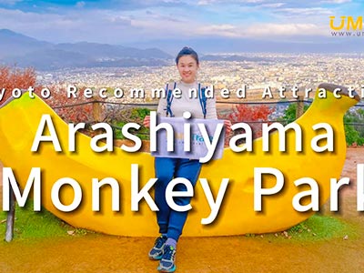 Kyoto Recommended Attraction：Arashiyama Monkey Park