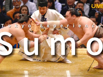 Tokyo Experience： Visit Sumo wrestlers training