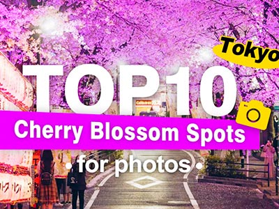 10 BEST Cherry Blossom Spots in Tokyo