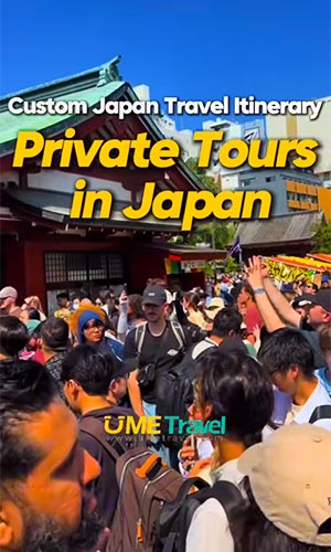 Planning a Japan Trip? Private Tours vs Group Tours