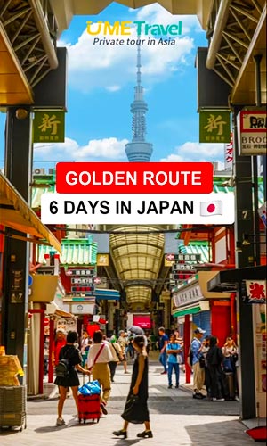 BEST 6-Day Itinerary for the Golden Route in JAPAN