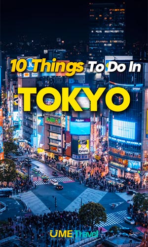 7 DAYS IN JAPAN: The Food & Culture Trip