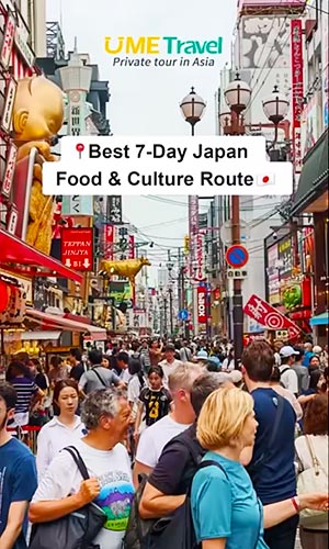 7 DAYS IN JAPAN: The Food & Culture Trip