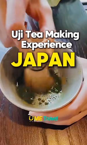 Uji Tea Making Experience in Japan