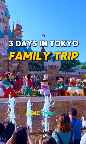 3 Days in Tokyo Family Itinerary | Best Travel Guide for First-Time Visitors