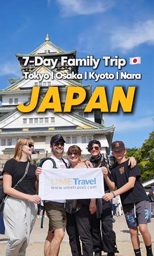 7-Day Family Trip in Japan.You’ll Want to Copy This Itinerary