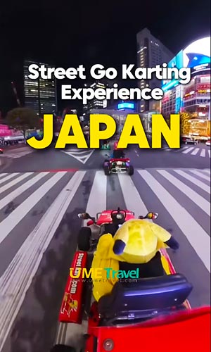 Experience in Japan:Street Go Karting Experience
