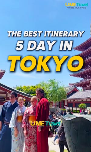 The Best 5-Day Travel Itinerary for Tokyo, Japan