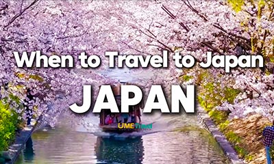 When to Travel to Japan: Best Times to Visit