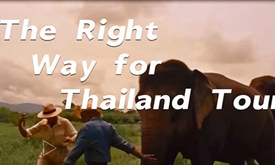 The Right Way to Tour Thailand 1
