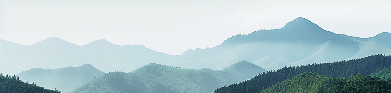 Beautiful Asian landscape featuring mountains, temples, and cultural sites for your UME Travel journey