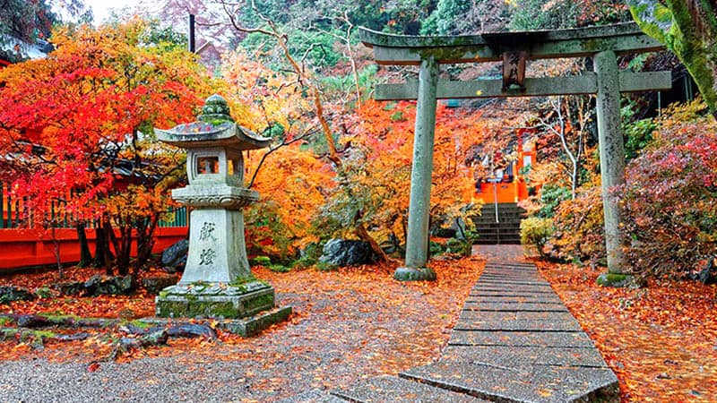 Fukuoka - Raizan Sennyoji Temple, Giant Maple, and Shrines