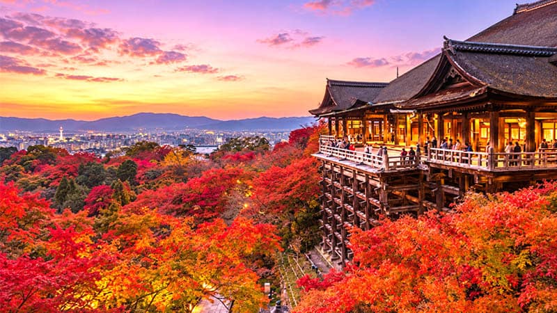 Kyoto - Historic Temples, Red Maples, and Temple Gardens