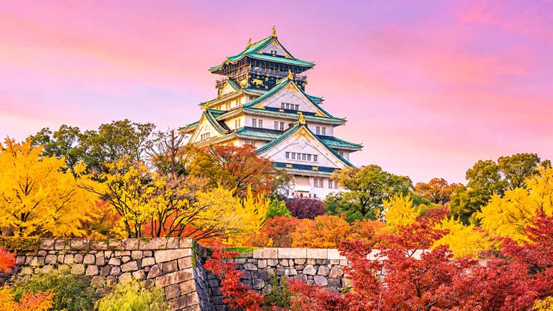 Osaka - Osaka Castle Park, Forest Walks, and Autumn Foliage