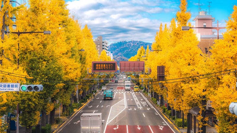 Tokyo - Autumn Gardens, Maple Parks, and Golden Ginkgo Avenues