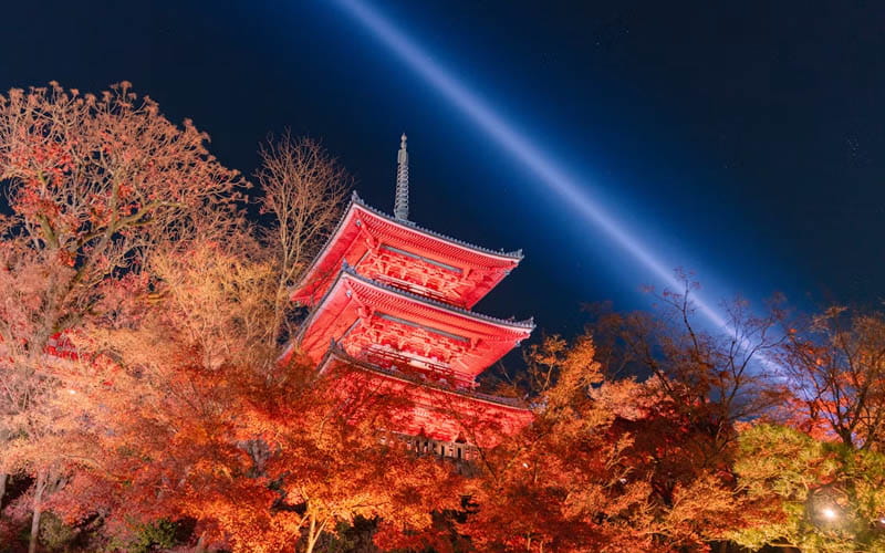 Experience an Autumn Temple Evening - Kyoto temple evening maple illumination reflecting on garden pond