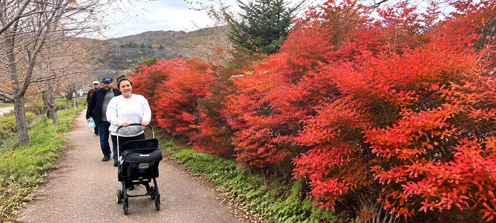 Families with Kids - Family with stroller walking along accessible garden path bordered by vibrant autumn red maples