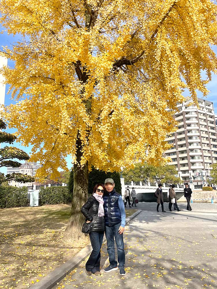 Senior Travelers - Senior travelers admiring golden ginkgo trees in Tokyo autumn