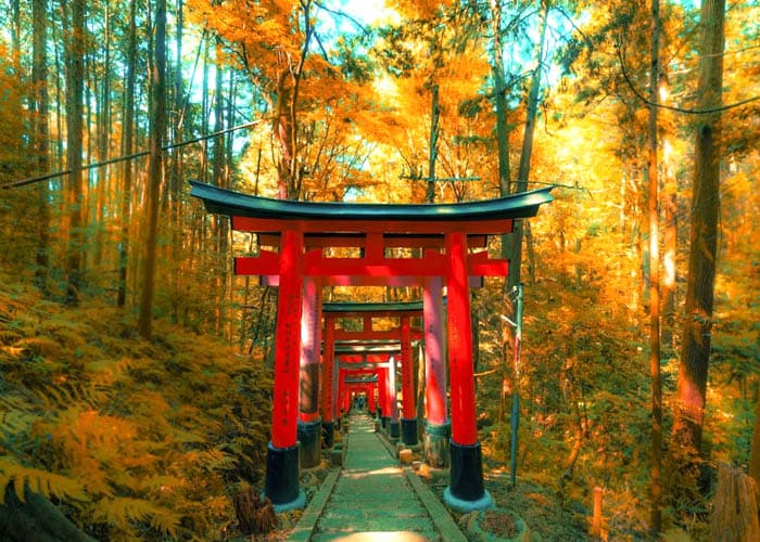 Best Time to See Fall Foliage in Japan