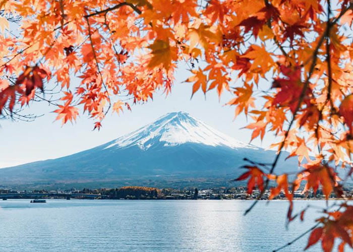 Things to Do in Japan in November