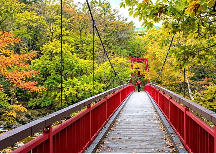 Things to Do in Japan in October