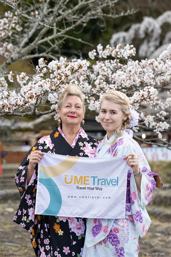 Travelers in traditional kimono enjoying cherry blossoms in Japan