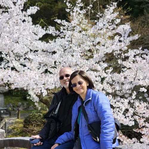 Senior Travelers - Older travelers strolling along flat paved garden paths with weeping sakura blossoms