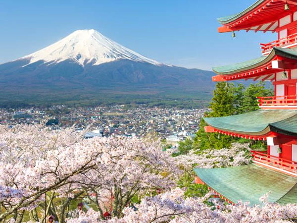 Best 1-Week Cherry Blossom Itineraries