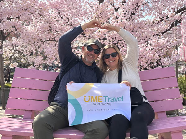 Best Time to See Cherry Blossoms in Japan
