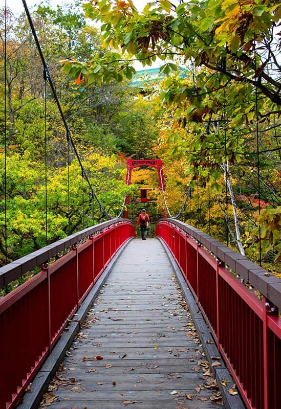 Autumn Japan Tours