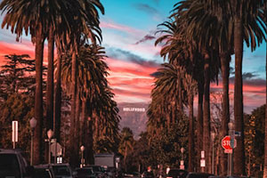 Japan Tour from Los Angeles