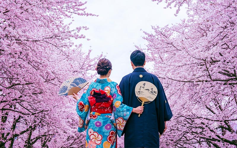 Sakura Forecast 2027: Best Time to See Cherry Blossoms in Japan