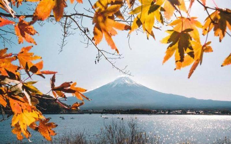Fall Foliage 2026: Best Places to See Autumn Leaves in Japan