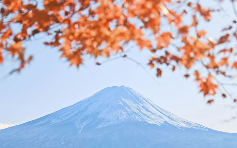 Mt Fuji reflection