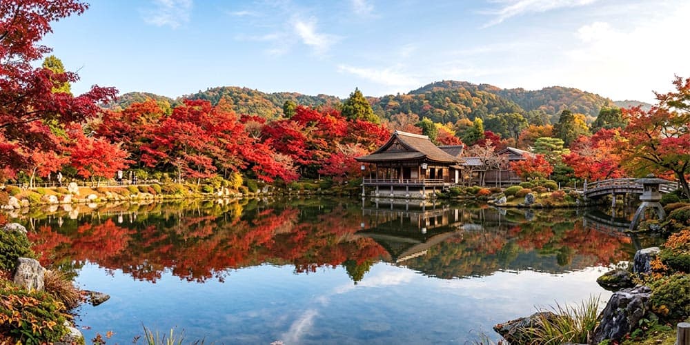 Autumn in Japan - Vibrant red momiji maple leaves