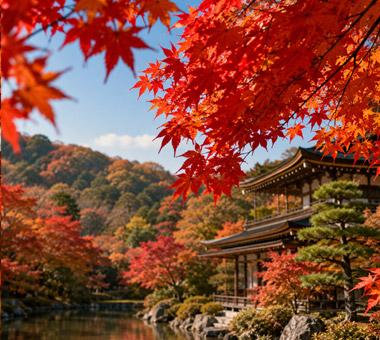 Autumn Colors