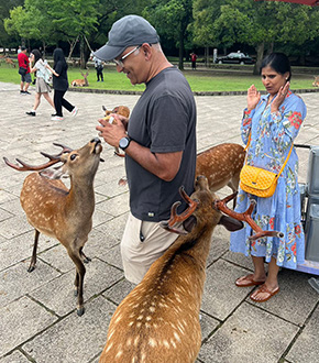 Meet the Friendly Deer of Nara Park